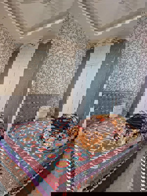 3 BHK + Store Room Apartment For Rent in Dhakoli