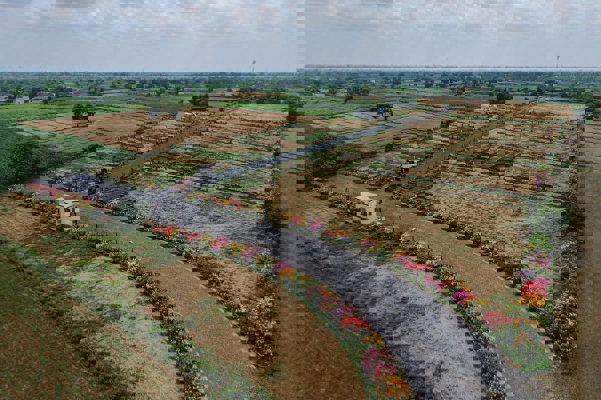 Plot For Sale in Badalpur