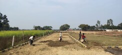 Plot For Sale in Mohanlalganj