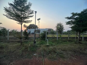 Plot Area in  Plot at Sejbahar – for Sale
