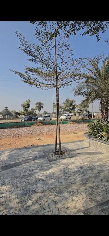 Plot Area in  Shop at Rise Retailia, Sector 1 Greater Noida – for Sale