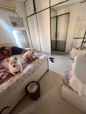 Team Area in 3 BHK Apartment at Seven Bunglow – for Rent