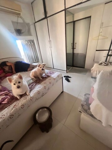 Team Area in 3 BHK Apartment at Seven Bunglow – for Rent