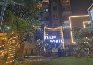 3 BHK Apartment – Exterior View View at Tulip White, Sector 69 - for Rent