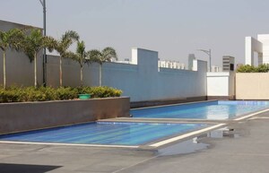 Swimming Pool in 3 BHK Apartment at Tulip White, Sector 69 – for Rent