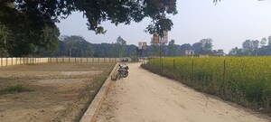  Plot For Sale in Gosainganj