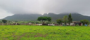 Plot Area in  Plot at Peth Road – for Sale