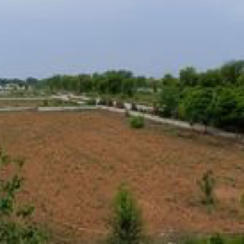 Plot For Sale in Jewar
