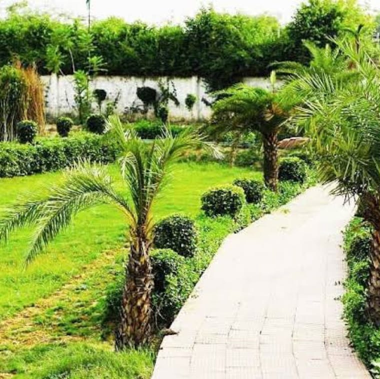 Garden, jewar  809 Sq.Ft. Plot In Jewar Greater Noida 9860586