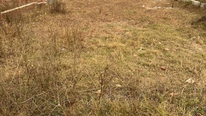 Plot Area in  Plot at Prabhat Apartment, Prabhat Road – for Sale