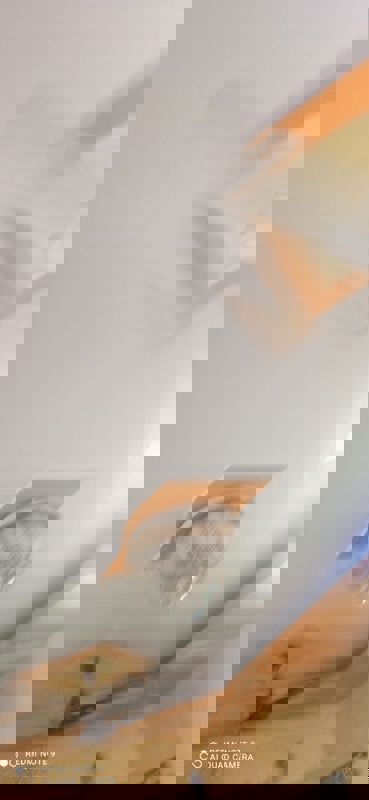 Studio  + Pooja Room 350 Sq.Ft. Apartment in Annapurna Aarti CHS