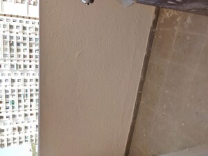 1 BHK Apartment For Rent in Puranik Aldea Anexo, Baner