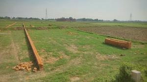 Plot Area in  Plot at Alinagar – for Sale