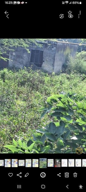 Plot – Garden View at Chi Phi Greater Noida - for Sale