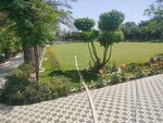 1008 Sq.Yd. Plot in Rajiv Nagar