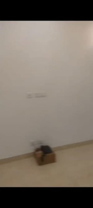 2 BHK Apartment For Rent in Elite Golf Green, Sector 79