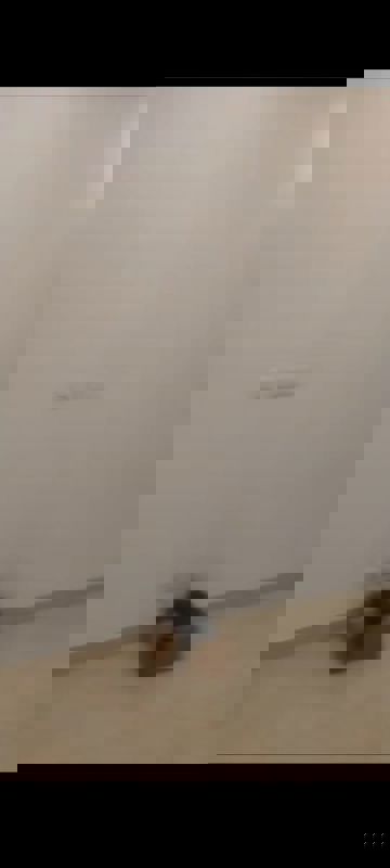 2 BHK + Study Room,Extra Room Apartment For Rent in Elite Golf Green