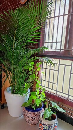 Pg For Rent in Vineet Khand