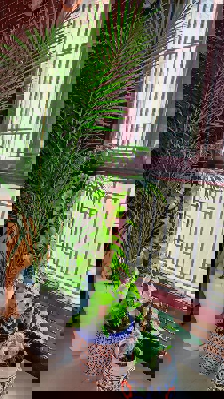 Pg For Rent in Vineet Khand