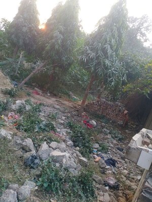 Plot Area in  Plot at Subedarganj – for Rent