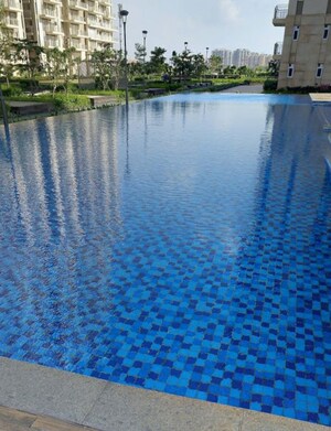 Swimming Pool in 3 BHK Apartment at Conscient Heritage Max, Sector 102 – for Rent