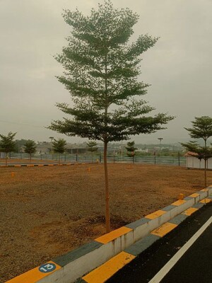 Plot Area in  Plot at Mettur – for Sale