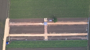 Plot Area in  Plot at Ashok Nagar – for Sale