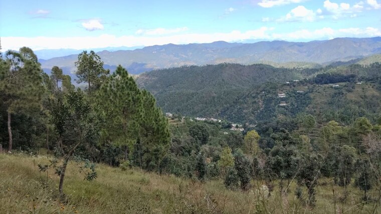 undefined, haldwani Commercial Land 8 Acre In Haldwani Nainital 9863488