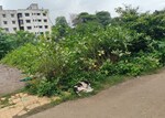 3000 Sq.Ft. Plot in Dhanori