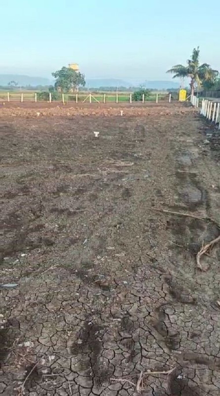 undefined, tarapet  2580 Sq.Ft. Plot In Tarapet Vijayawada 9863533