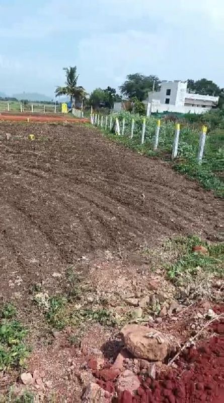 Plot For Sale in Tarapet