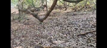  Plot – Map Location View at Mandangad - for Sale