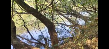  Plot – Garden View at Mandangad - for Sale