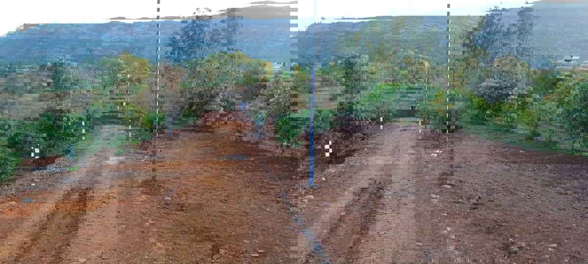 Plot For Sale in Nande