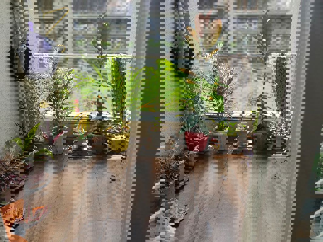 2 BHK 900 Sq.Ft. Apartment in Mittal Sun Aura