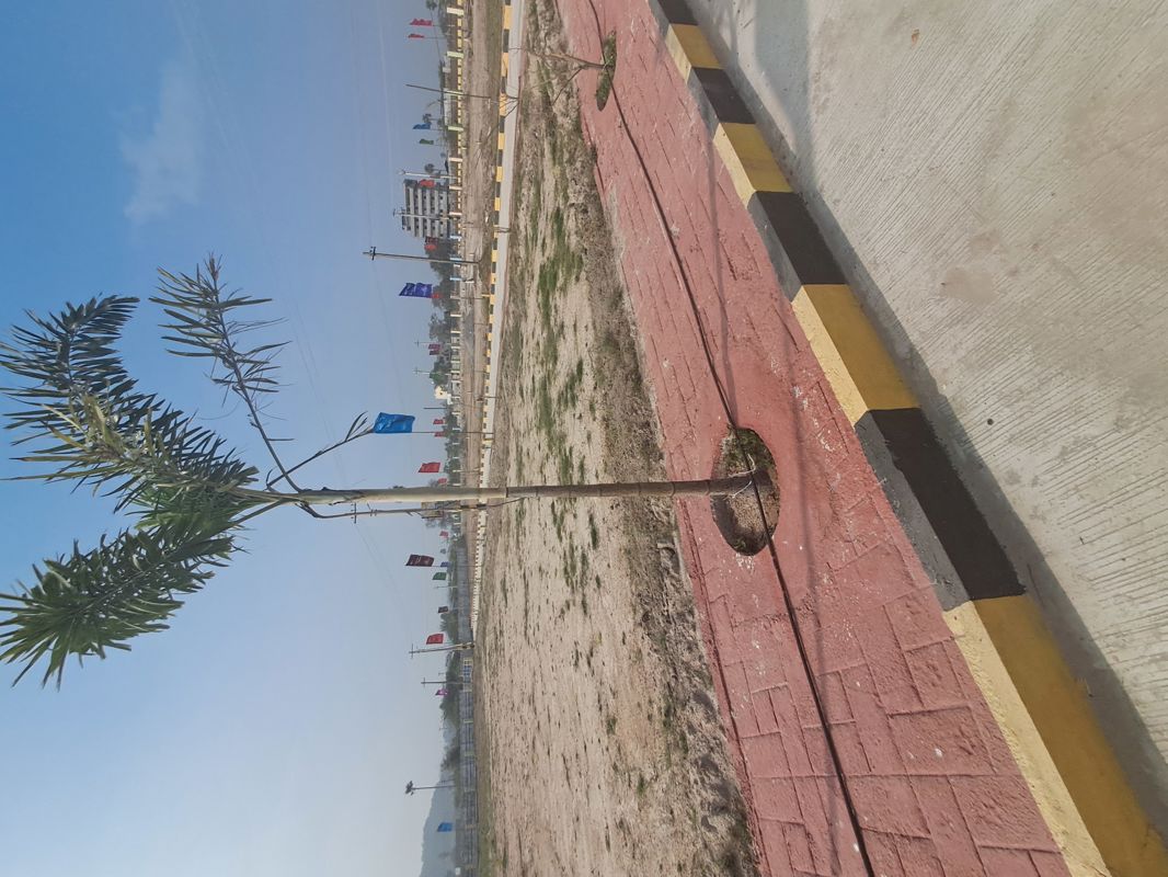 Plot For Sale in Unique Eastern Aavaasa