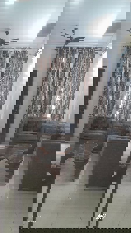 3 BHK + Pooja Room Builder Floor For Rent in Sector 51