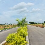 203 Sq.Yd. Plot in JB Nature Valley