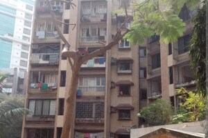 2 BHK Apartment For Rent in Royal Palace, Andheri West