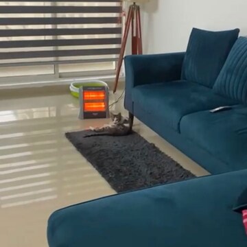 2 BHK Apartment For Rent in Indiabulls Centrum Park, Sector 103