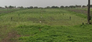 Plot Area in  Plot at Baramati – for Sale