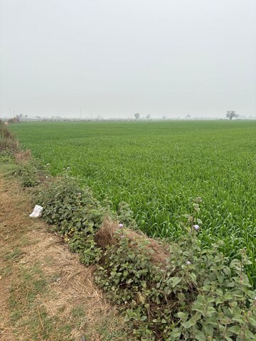 Plot Area in  Land at Gaur Yamuna City Gaur Suites, Gaur Yamuna City – for Sale