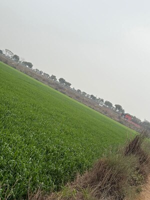  Land – Garden View at Gaur Yamuna City Gaur Suites, Gaur Yamuna City - for Sale