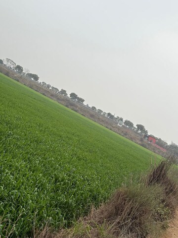  Land – Garden View at Gaur Yamuna City Gaur Suites, Gaur Yamuna City - for Sale