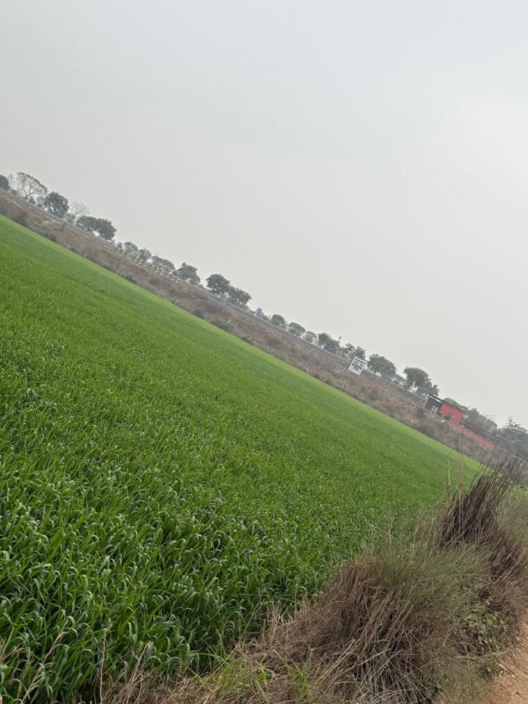 Garden, gaur-yamuna-city-gaur-suites Commercial Land 4 Acre In Gaur Yamuna City Greater Noida 9864500