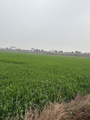 Plot Area in  Land at Gaur Yamuna City Gaur Suites, Gaur Yamuna City – for Sale