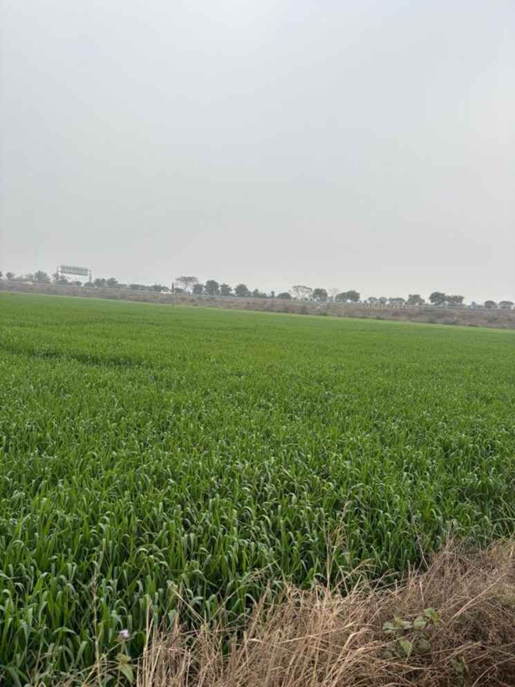 undefined, gaur-yamuna-city-gaur-suites Commercial Land 4 Acre In Gaur Yamuna City Greater Noida 9864500