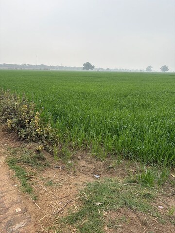 Plot Area in  Land at Gaur Yamuna City Gaur Suites, Gaur Yamuna City – for Sale