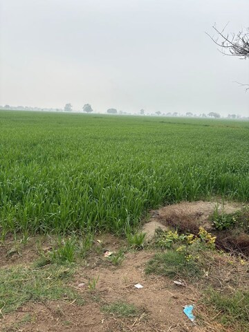 Plot Area in  Land at Gaur Yamuna City Gaur Suites, Gaur Yamuna City – for Sale