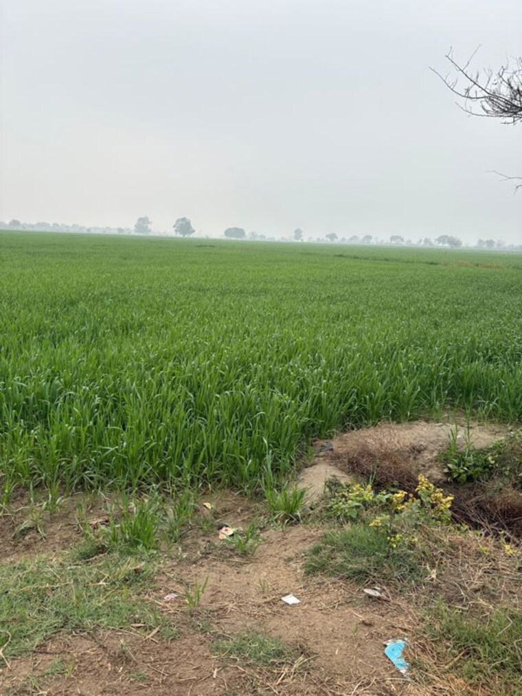 undefined, gaur-yamuna-city-gaur-suites Commercial Land 1 Acre In Gaur Yamuna City Greater Noida 9864514